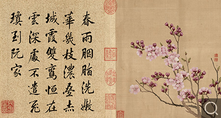 清 花卉册